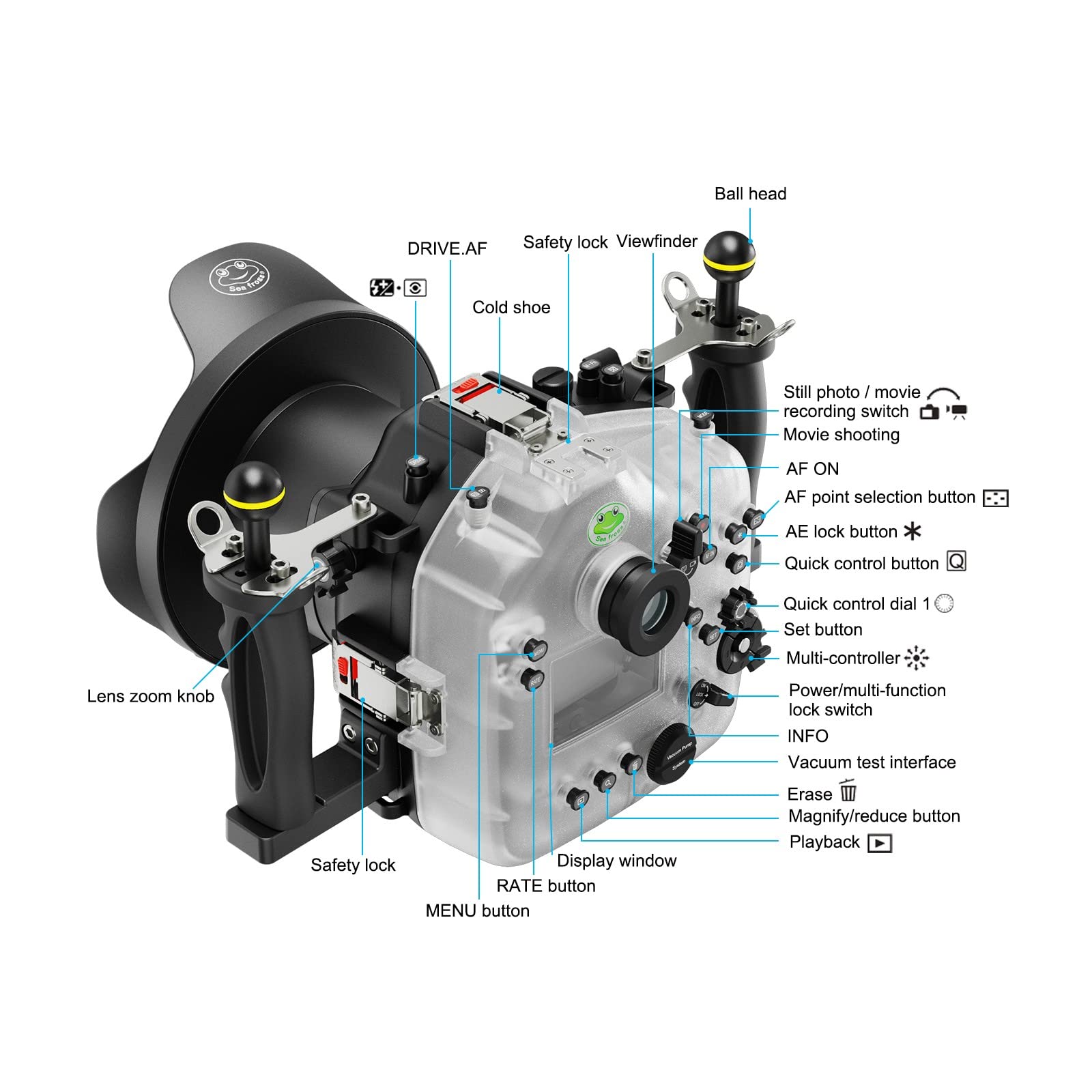 Amazon | SeaFrogs 防水ハウジング Canon EOS R3 WA005Fドームポート